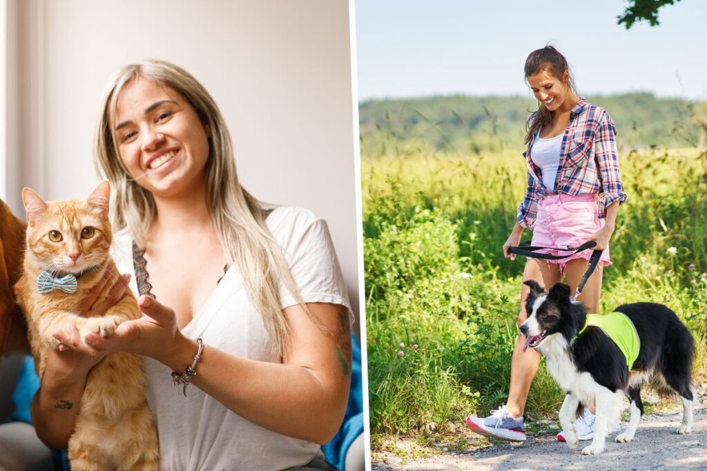 Pet Sitting or Dog Walking