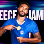 is reece james gay