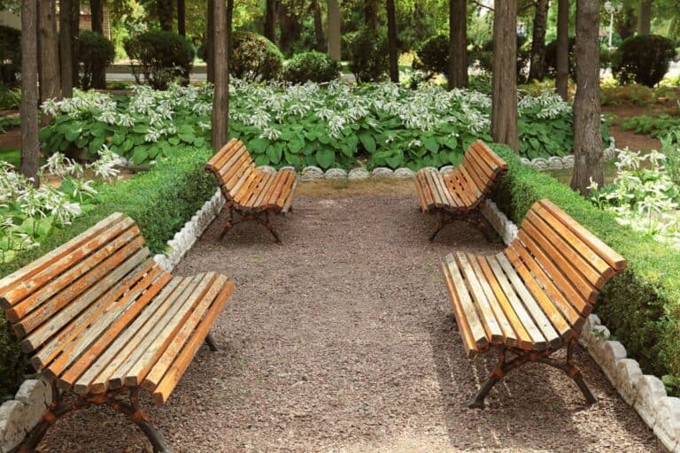 How to Pick the Right Timber for Your Garden Projects 