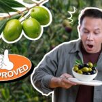 Are Olives Good for You