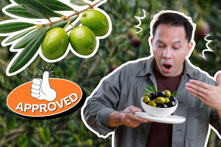 Are Olives Good for You and Your Daily Diet? The Honest Truth