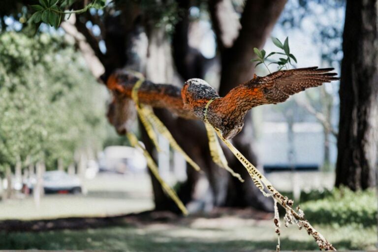 Understanding the Importance of Asbestos Surveys