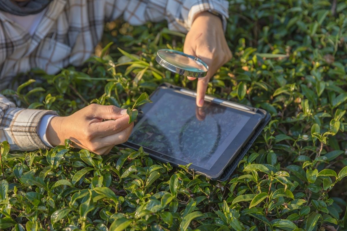 Benefits of Smart Gardens