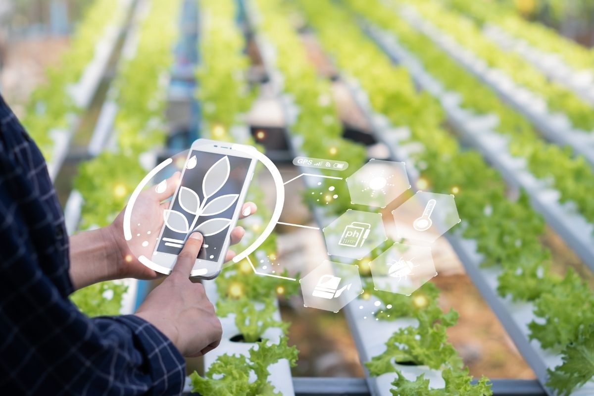 Cutting-edge Technology Shaping Smart Gardens