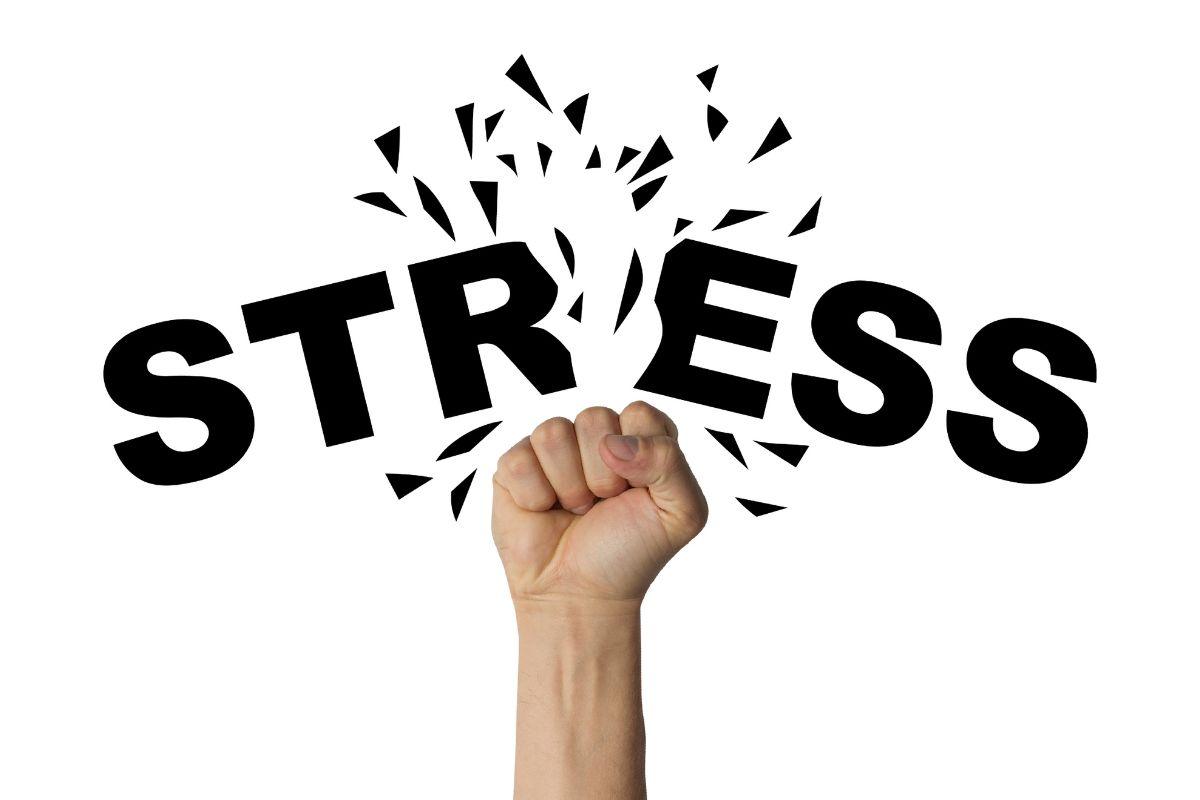 The Fastest Way to Reduce Stress: What Stanford Research Says About Cyclic Sighing